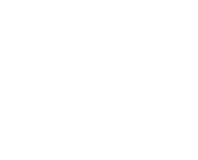 THE PETRA Logo